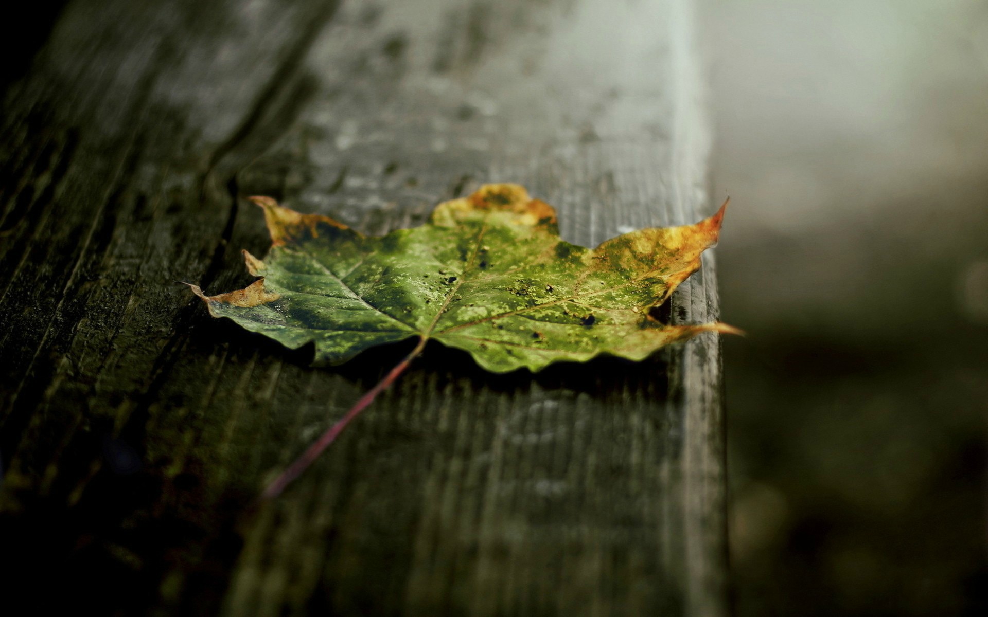 1920 x 1080 HD Wallpapers 1854